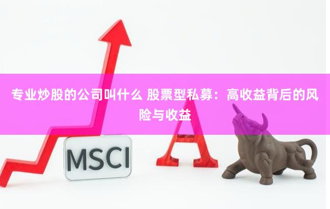 专业炒股的公司叫什么 股票型私募：高收益背后的风险与收益