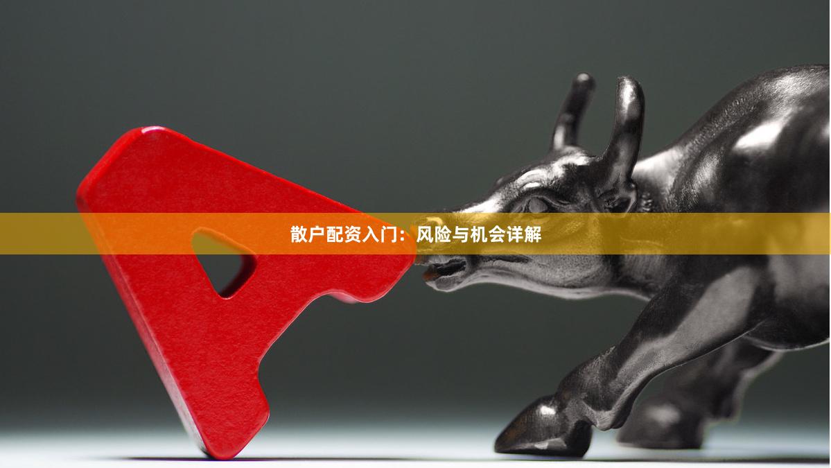 散户配资入门：风险与机会详解